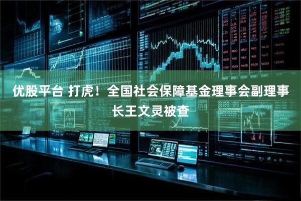 优股平台 打虎！全国社会保障基金理事会副理事长王文灵被查